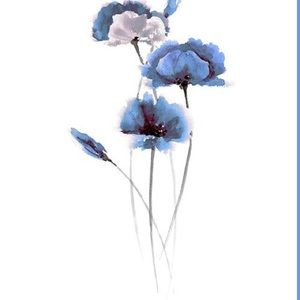 Meet your Posher, Ash